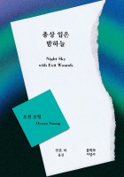 총상 입은 밤하늘 (Nigh…